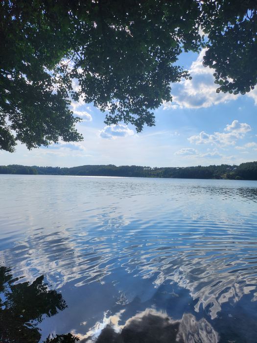 Domek na Kaszubach w Leśnym Zagajniku