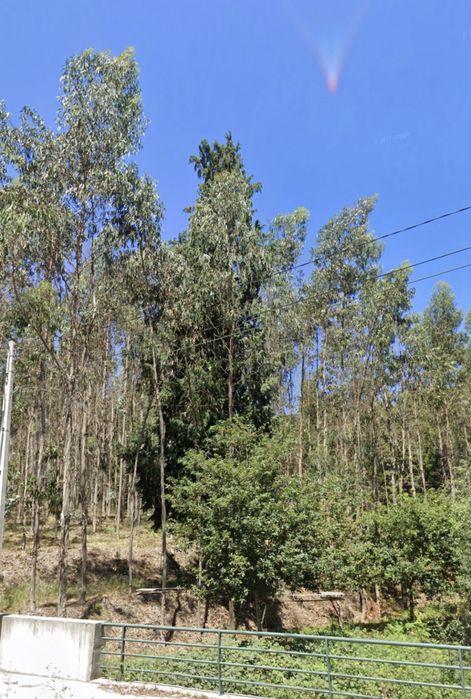 Terreno com cerca de 2 hectares e 70m frente EN309 - Famalicão