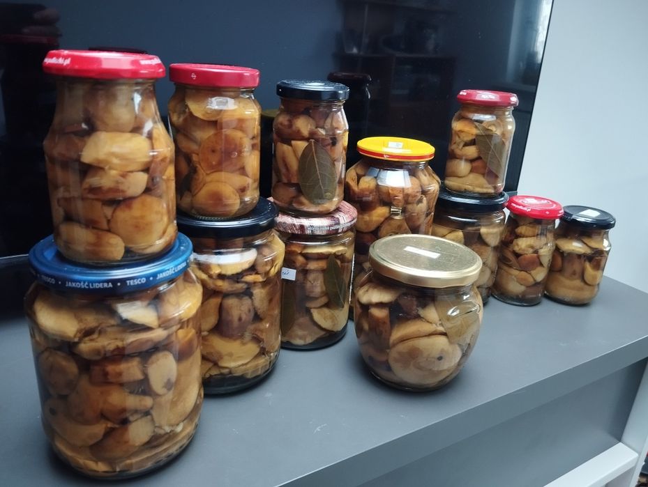 Польские маринованные грибы