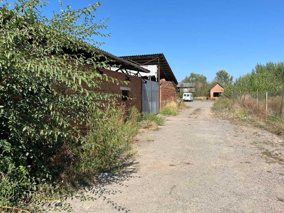 Склад 2500 м2 Закарпаття