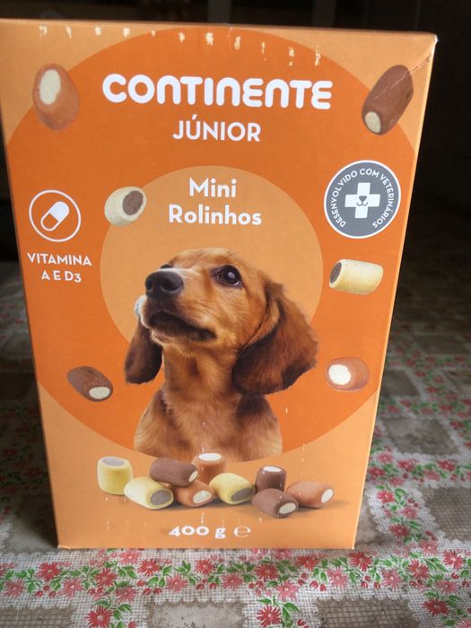 Casota cao medio plastico