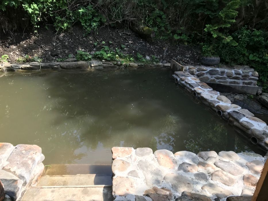 НОВИЙ РІК ВІЛЬНО.Два брати ЕКО. будинок або окремі кімнати.ЧАНИ.