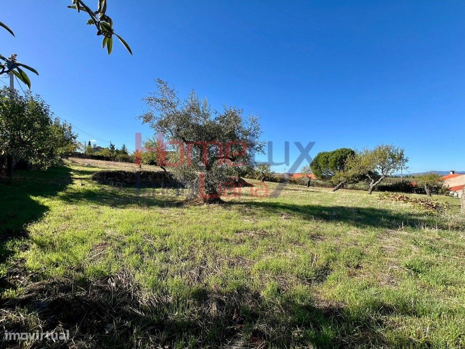 Terreno Urbanizável em Carviçais