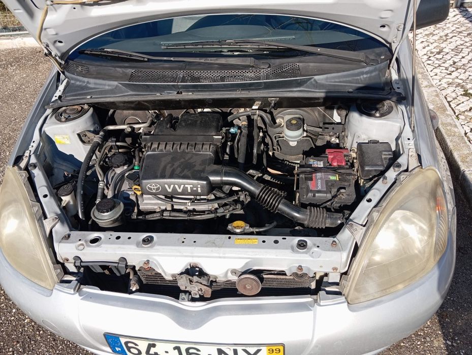 A Ginginha procura novo dono, para novas aventuras