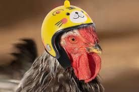 Шлем для электосамоката