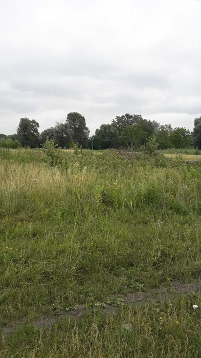 Продаж земельної ділянки в  с. Мошни, вулиця Горіхова