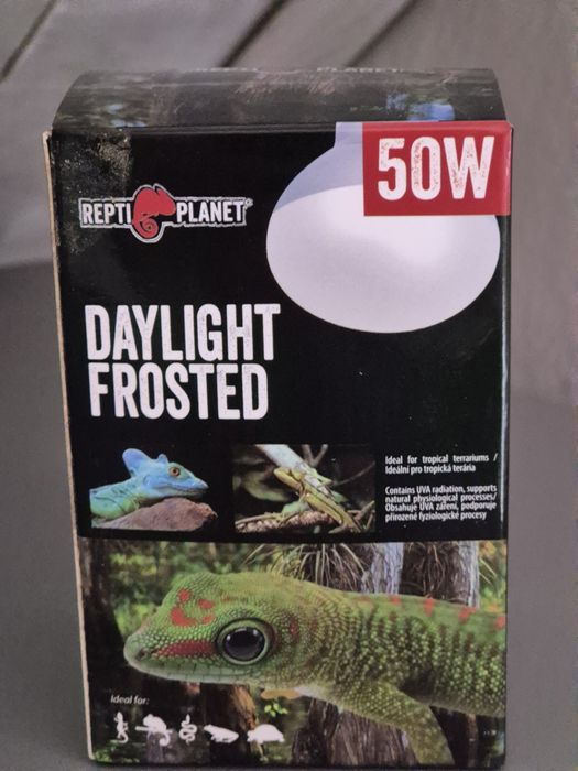 Sprzedam agama brodate