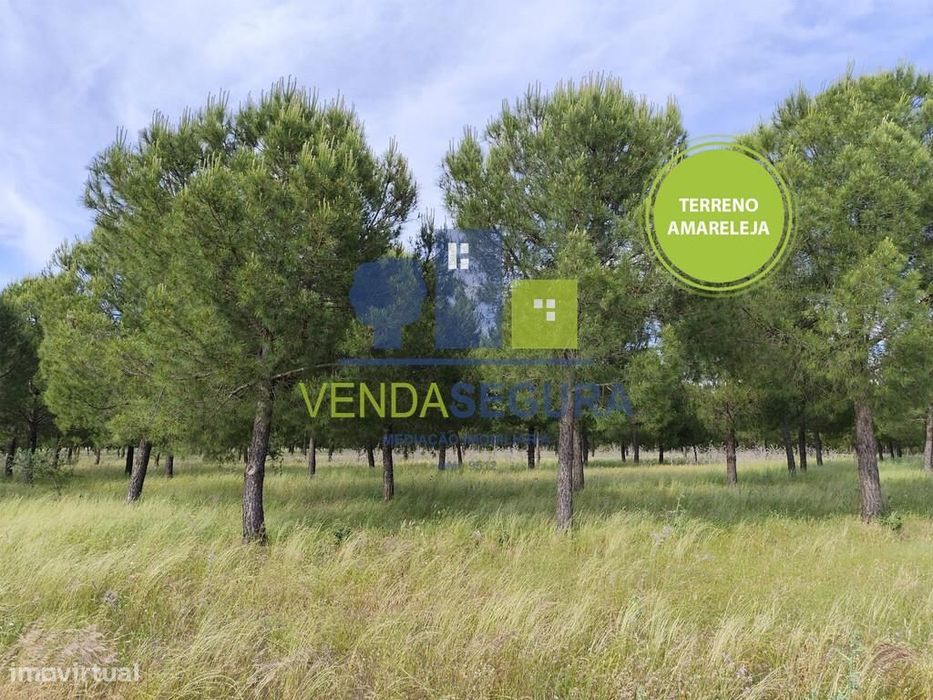 Terreno Rústico 10,6875 Ha |Amareleja
