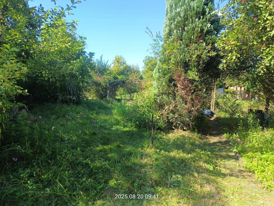 Ogródek działkowy działka rekreacyjna ROD Zgoda Bytom Miechowice