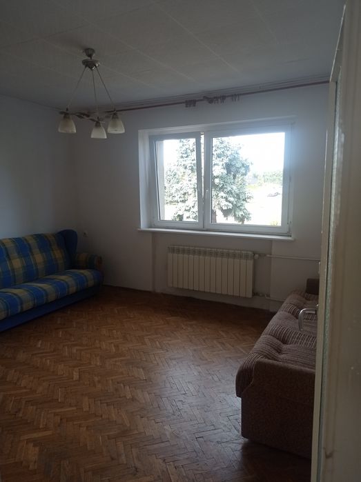 Dom – Milicz - Więcej