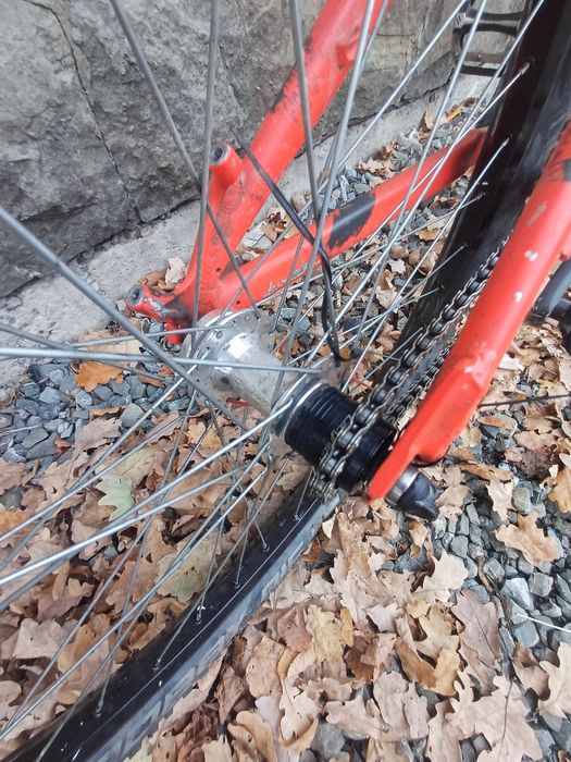 rower dirt kellys custom