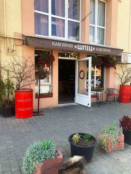Котедж з гаражем в с. Ременів  15 кілометрів від Львова.