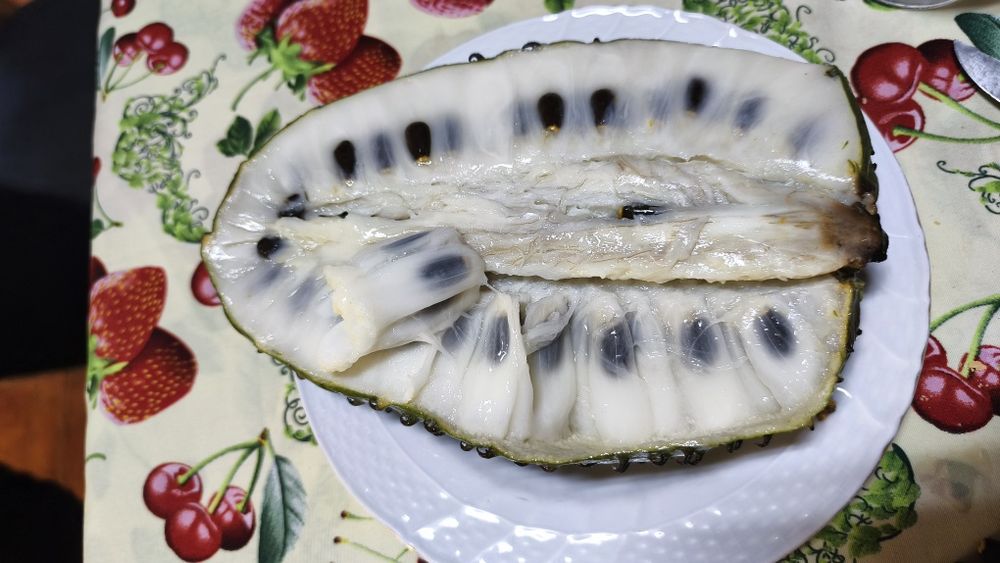 Sementes de graviola