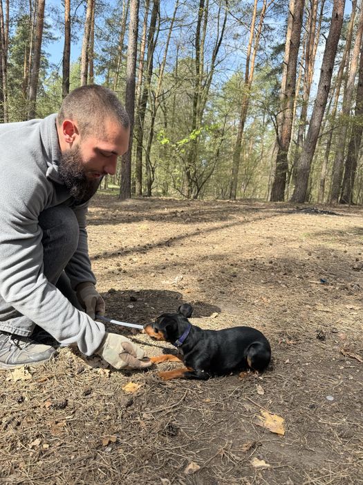 Кінолог . Дресирування собак