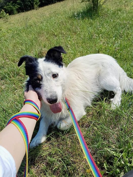 Gero wypatruje kochającej rodzinki