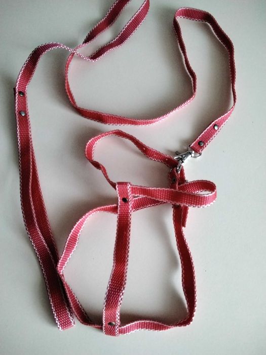 Лежанка  для кошечки собачки ,три угловие когтеточки в подарок