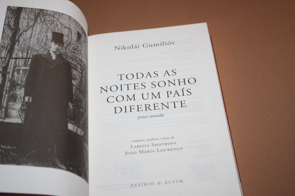 Todas as Noites Sonho com Um País Diferente prosa reunida N.  Gumiliov