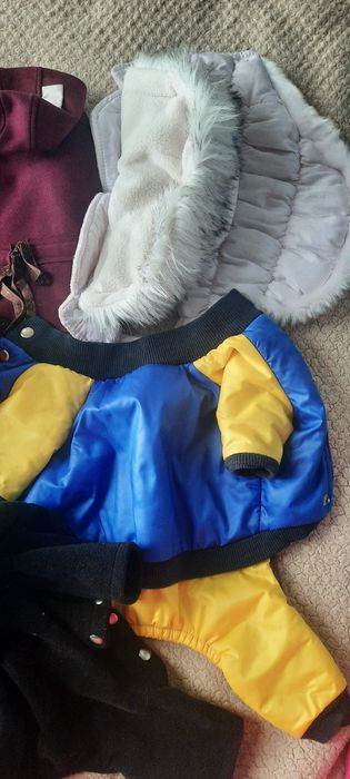 Продам одяг для собачки