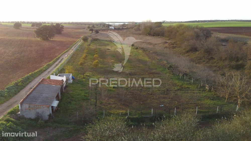 Terreno Agrícola - São Brissos , Beja