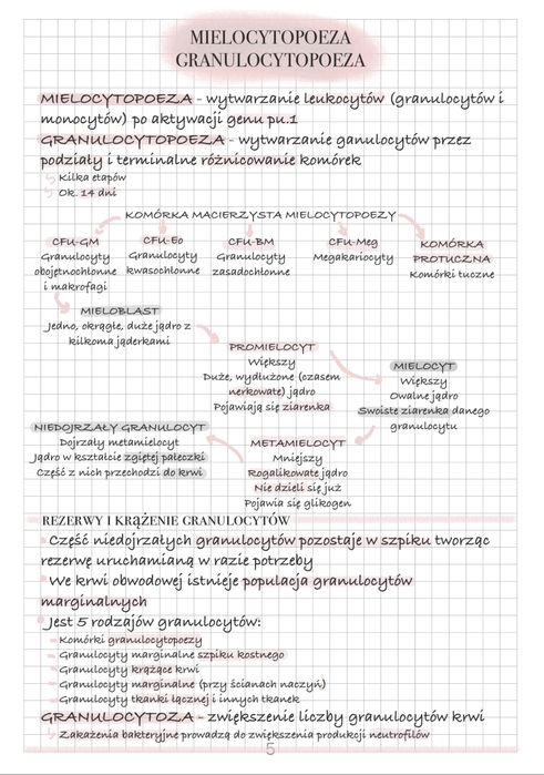 Notatki z histologii - kierunek lekarski