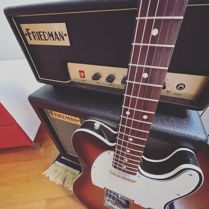 Friedman Pink Taco PT20 v1.5