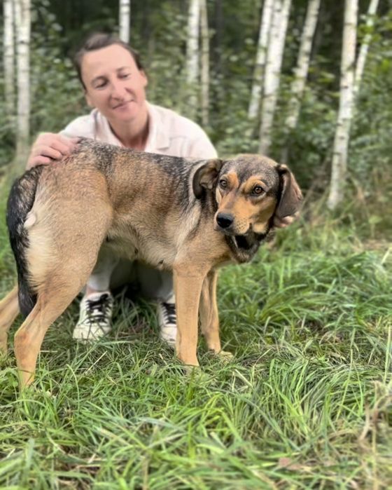 Do adopcji Młoda spokojna sunia