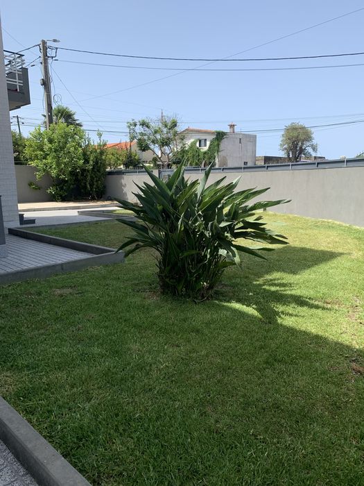 Servicos de jardinagem