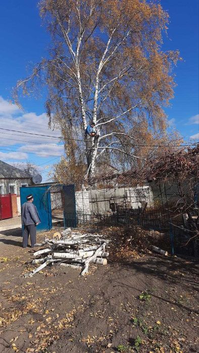 Спил аварійних дерев