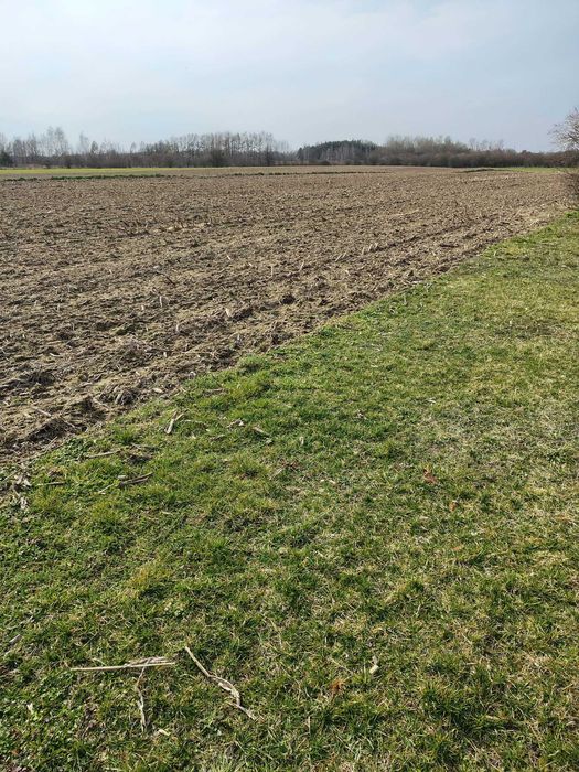 Sprzedaż 7 działek budowlanych – Rokotów, gm. Nowa Sucha - Widok 2