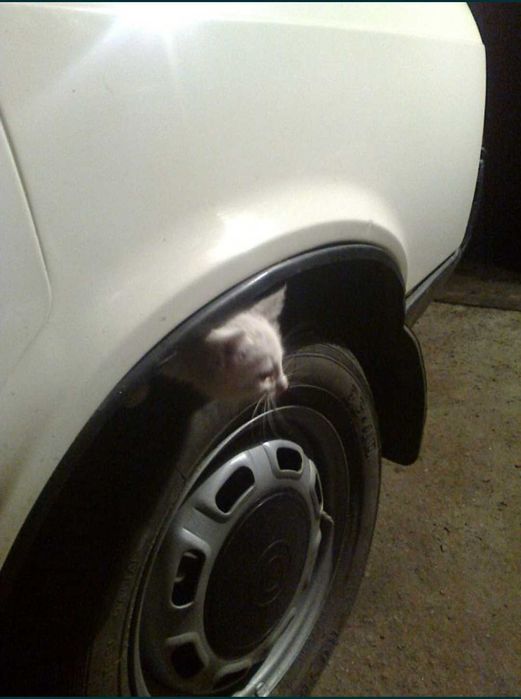 Москвич / АЗЛК 2141