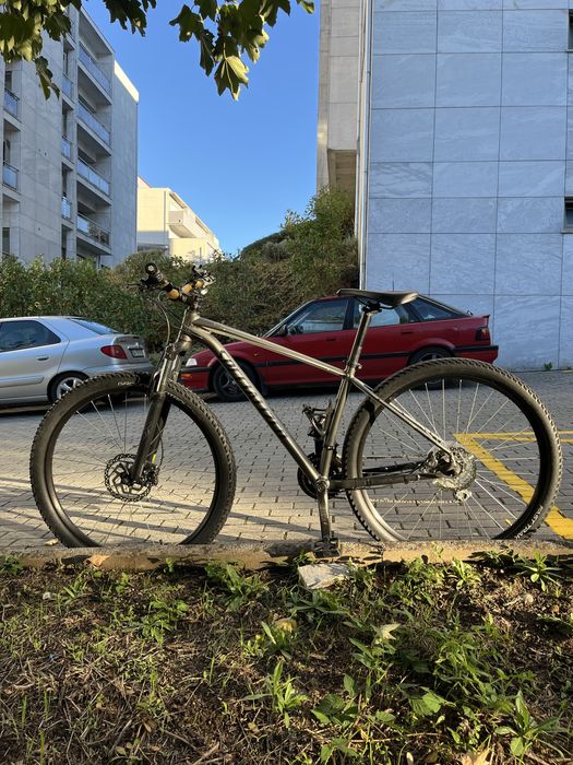 Specialized Roda 29 rockhopper