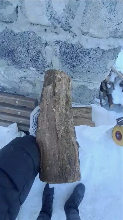 Дуб сухий в мішках)