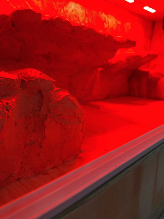 Terrarium skalne dla agamy,gekona ,nowe