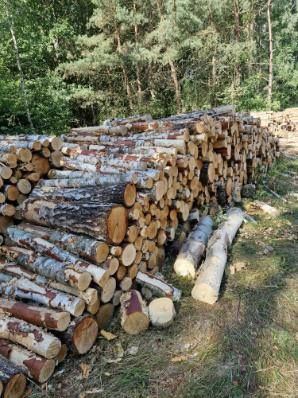 Brzoza,sosna olcha osika drewno opałowe kominkowe g.m.