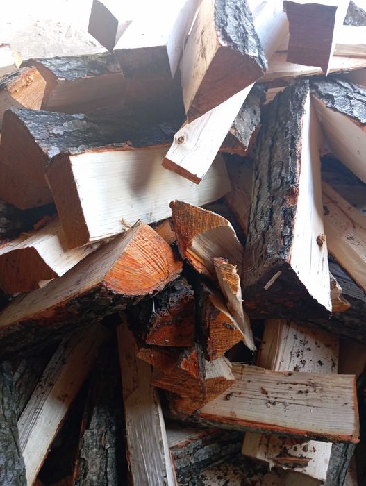 Olszynka na OGNISKO i do Wędzarni