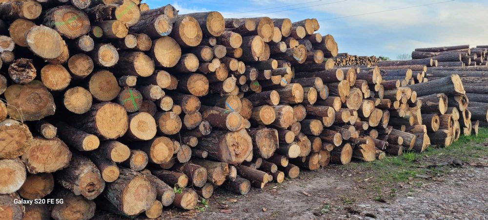 Drewno opałowe, drewno kominkowe,  sosna dł 2,5 m