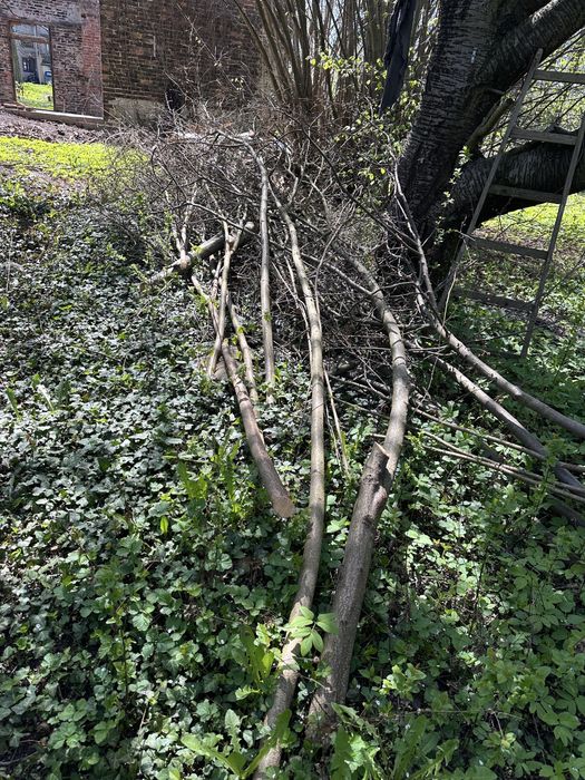 Oddam za darmo drewno i deski na opal