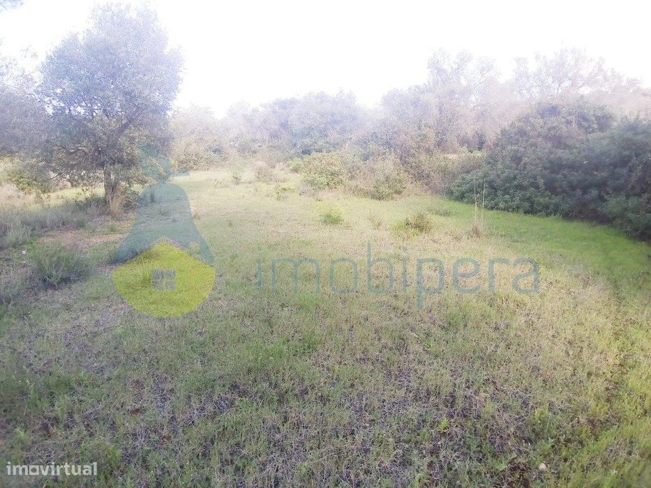 Terreno fértil em zona rural, para agricultura, projeto florestal, ... — Boliqueime, Faro