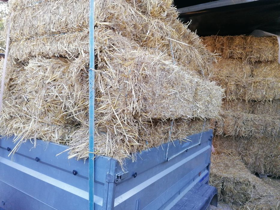 Fardos de palha de Aveia, Triticale e Erva Nascediça