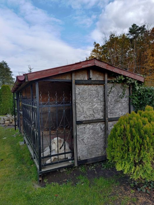 Вольєр для собак ( Самовивіз )