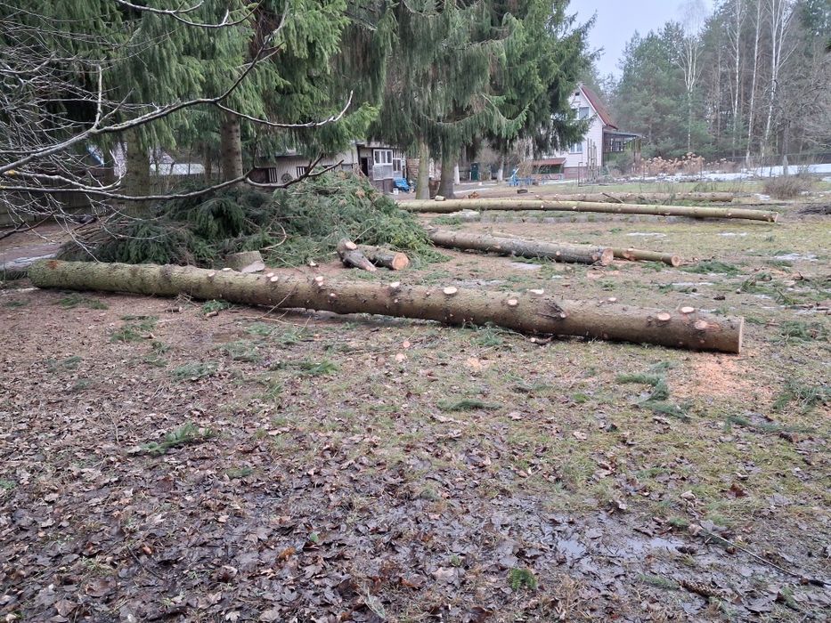 Drewno dłużyca / Świerk / Bobrowa / sprzedam