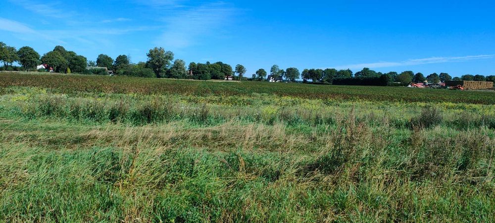 Sprzedam działkę rolną 4,56 ha w Łebień gm. Damnica - Widok 3