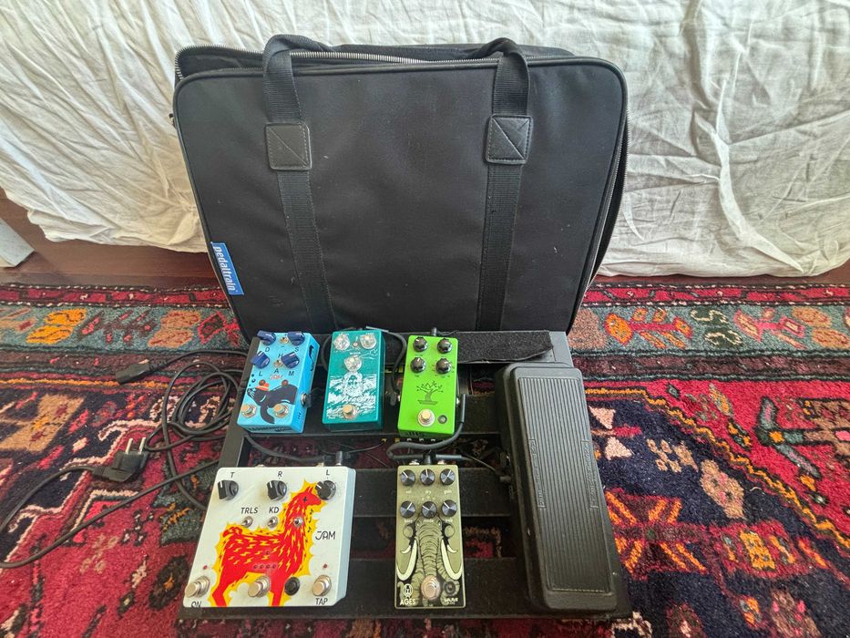 Pedaltrain Classic JR + Truetone CS7