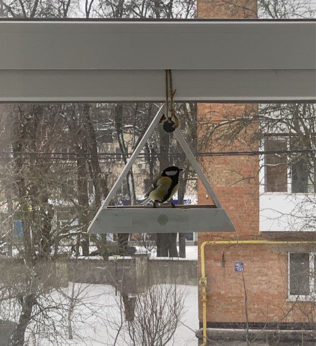 Годівничка кормушка для птахів пташок