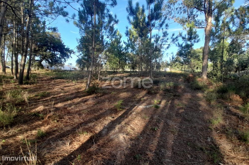 Terreno Rustico