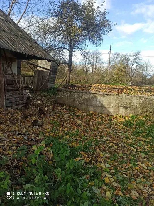 Будинок з ділянкою в с. Бучали