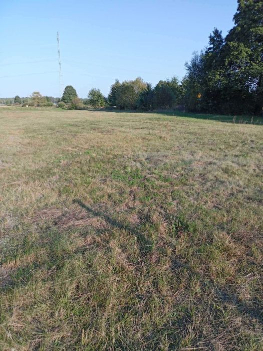 Działka z warunkami zabudowy. Małdaniec k. Szczytna - Widok 6