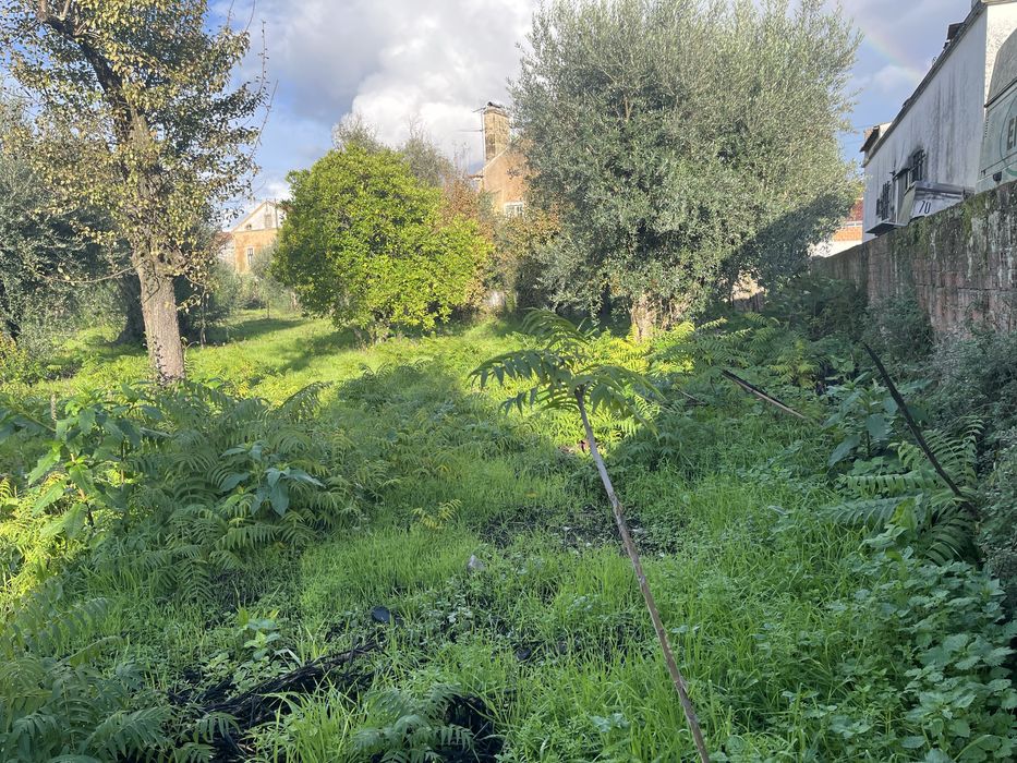 Lote de terreno super bem localizado a bom preço