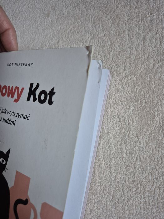 Wszystko o kotach 3 książki