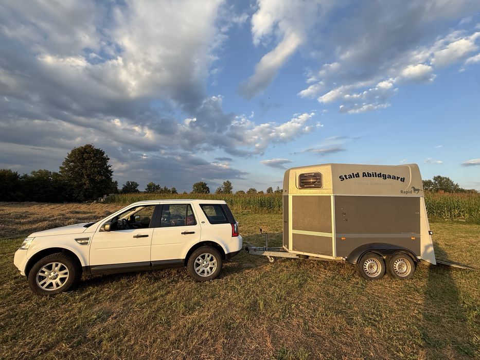 Przyczepa do przewozu koni konna zwierząt humbaur  rapid koniowóz